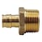 Apollo 1/2 in. Brass PEX-A Expansion Barb x 3/4 in. MNPT Male Adapter EPXMA1234 - alternate 3
